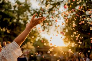 Hands throwing biodegradable confetti at wedding